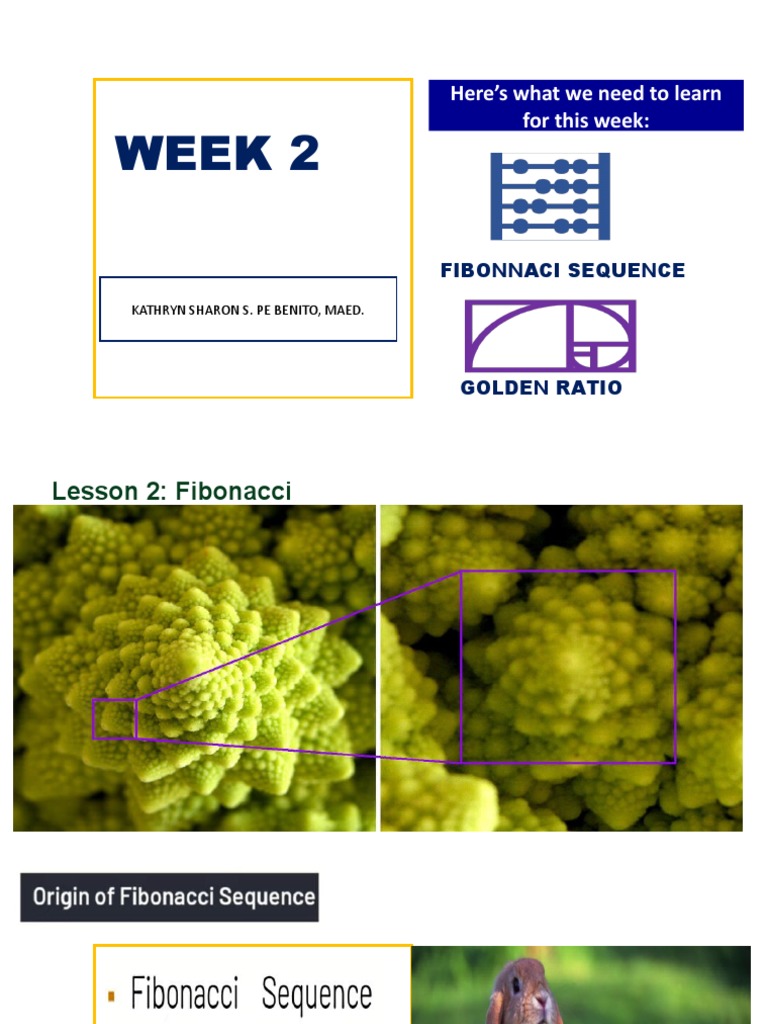 Week 2 Patterns and Numbers in Nature and The World Fibonacci Sequence ...