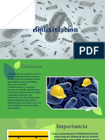 Bioxiliviación - Biología
