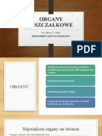 Organy - Podstawowe Informacje