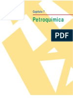 Capítulo 7 Petroquímica[1]