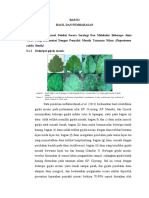 Deteksi Virus pada Tanaman Nilam dan Lada Hitam