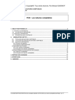 FCD-CNC-Les natures comptablesx