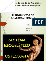AULA 2.0_SISTEMA ESQUELÉTICO - contituição_ funcoes_ tipos de ossos _acedentes osseos_ Divisão do Esqueleto