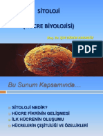 Sitoloji (Hücre Biyolojisi) : Doç. Dr. Işik Didem Karagöz