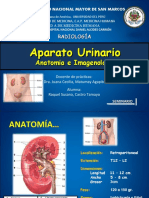 Aparato Urinario. Anatomía e Imagenología - Raquel Susana Castro Tamayo