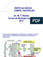 Clase 15 Golgi Lisosomas y Vacuolas