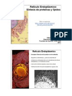 Clase 14 Reticulo Endoplasmico2011