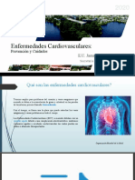 Enfermedad Cardiovascular: Prevención y Cuidados