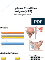 2.hiperplasia Prostática Benigna (HPB)