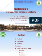 Introduc On To Neuroanatomy: Chao Ma, M.D