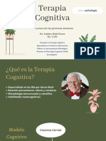 Webinar Terapia Cognitiva