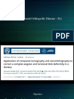 Developmental Orthopedic Disease CT 3D Modeling Donkey Limb Deformity