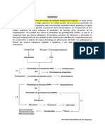 Biosíntesis de Terpenos