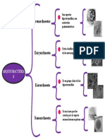 Clasificacion de Arqueobacterias