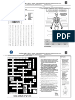 Actividades Cuerpo Humano 8o