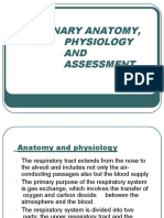 Topic 1 - Pulmonary Anatomy, Physiology and Assessment (Hemo)