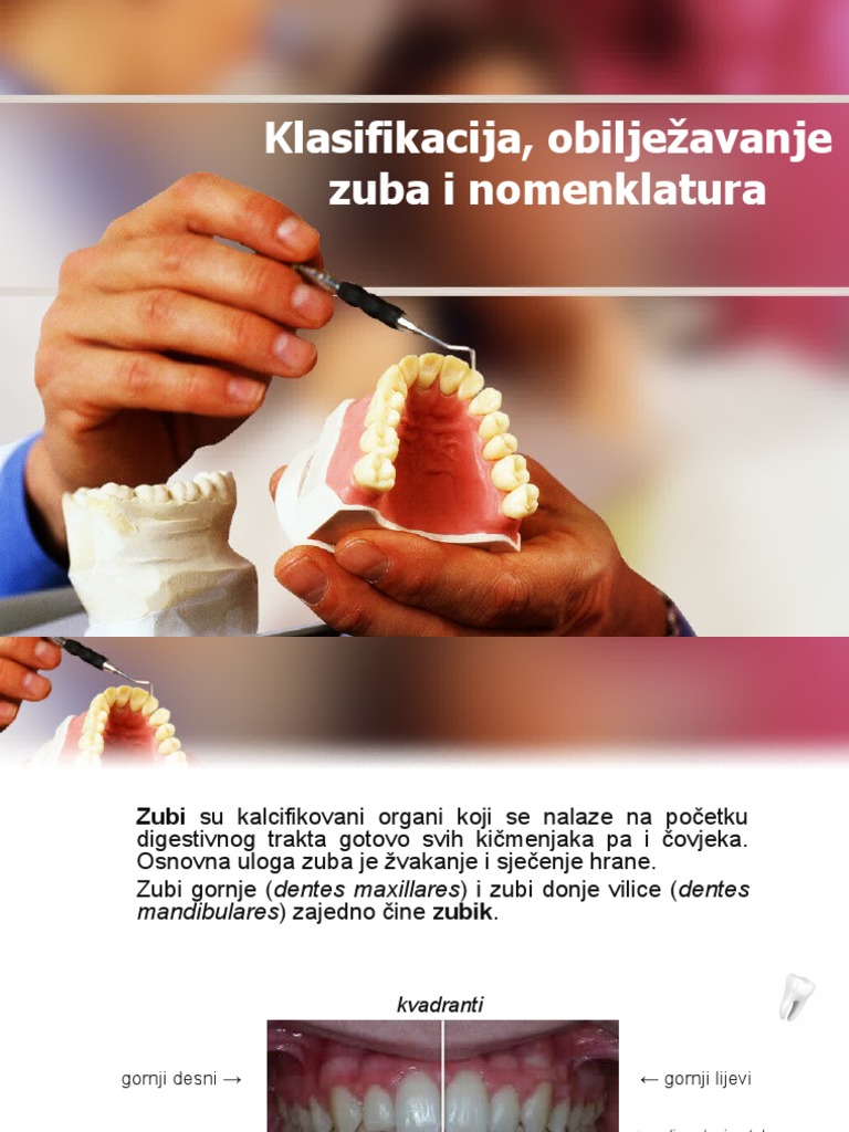 Klasifikacija | PDF