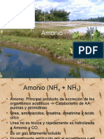 Clase 8 Amonio