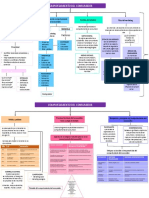 Mapa Conceptual