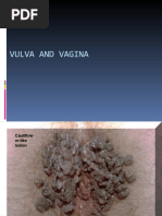 Download Vulva Vagina by Sobar Prihatin SN55937641 doc pdf