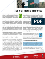 La Corrupcion y El Medio Ambiente