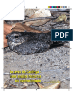 As aves da Caatinga - Uma análise histórica do conhecimento