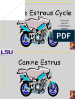 Canine Estrous Cycle: Click and Wait For Everything To Happen