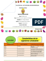 Caracteristicas de Los Organismos Unicelulares