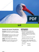 Amazing Bird Nests Vocabulary Cards