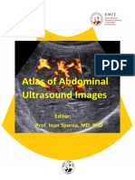 Atlas 20of 20abdominal 20ultrasound 20images-18 20mai