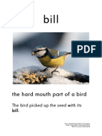 The Hard Mouth Part of A Bird: The Bird Picked Up The Seed With Its Bill