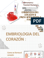 Embriología Del Corazon