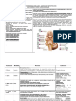 PDF Funciones Pares Craneales Compress