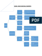 Árbol de Decisiones - Infracciones Atribuidas Al Transportista