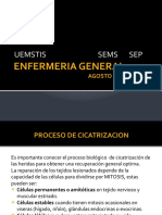 Dispositivas Cicatrizacion