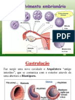 Aulão 2º 1ºbim 2018