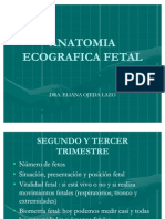 Ecografia