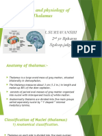 Anatomy and Physiology of Thalamus: By:-Nill Suryavanshi 2 Yr Bpharm Sgdcop, Jalgaon