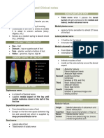 Foot Region and Clinical Notes Trans