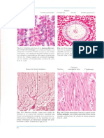 Atlas de Histologia Geneser 2