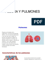 Pleura y Pulmones