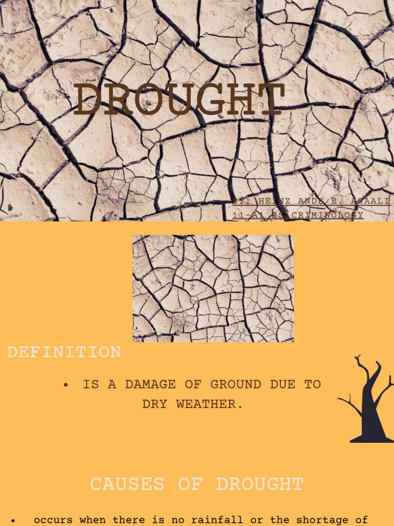 Understanding Drought: Causes and Effects | PDF | Home & Garden ...