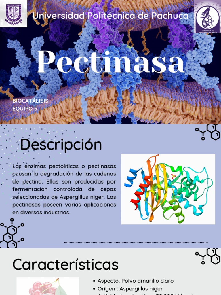 Aplicaciones de la Pectinasa en Industria | PDF | Química