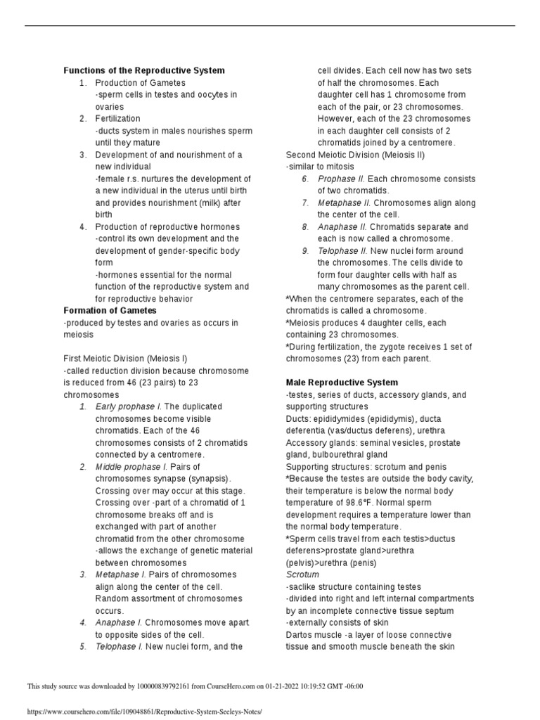 Functions of The Reproductive System | PDF | Meiosis | Testicle