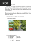 Download Virus Kuning Pada Cabai Kelompok 5 by Julie May SN55947429 doc pdf