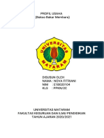 Profil Usaha Nova Fitriani e1b020104 2c