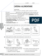 História do ceará - 9º ano - eeif. silvestre de mesquita worksheet