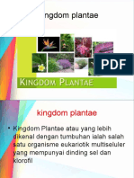 Tugas Biologi PPT Kingdom Plantae