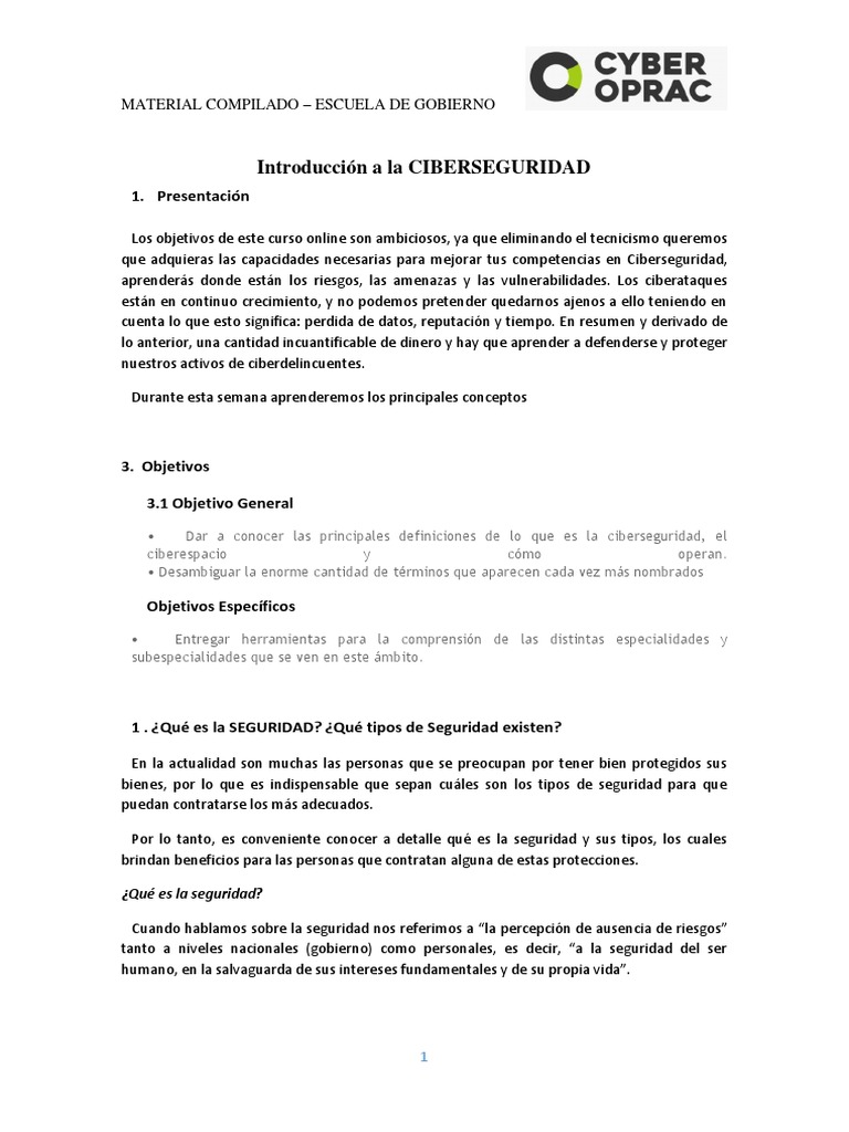 Introducción A La Ciberseguridad Pdf Valores La Seguridad Informática