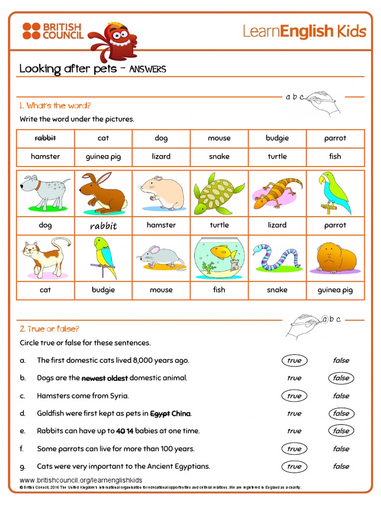 Worksheets Looking After Pets Answers 1 | PDF | Mouse | Pet